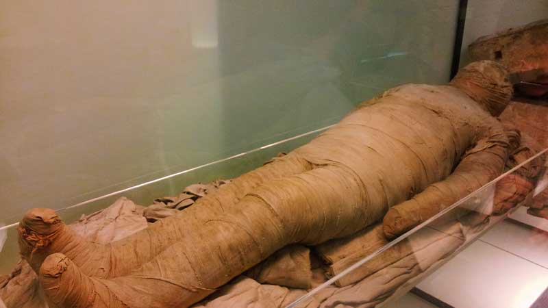 Mummification Museum Luxor