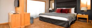 Gallery Thumbnail 3