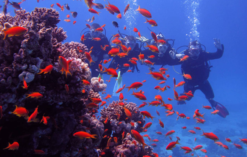 Diving from an island mahmya from Hurghada