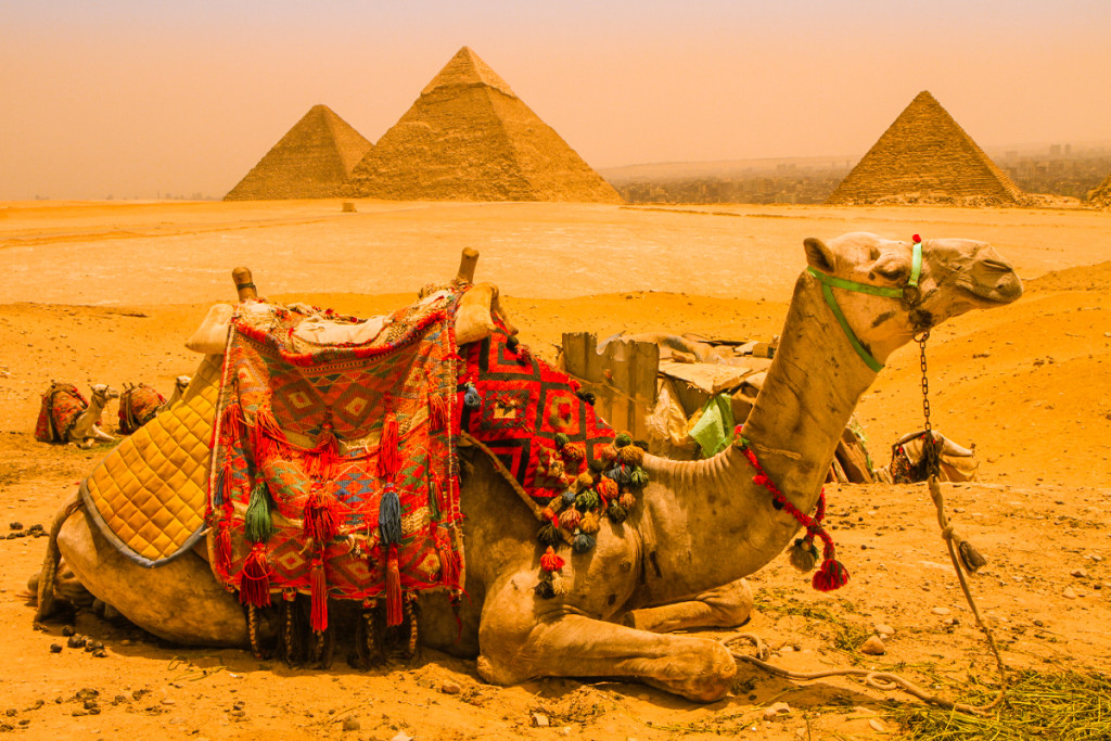 Cairo & Nile Cruise by Sleeper Train