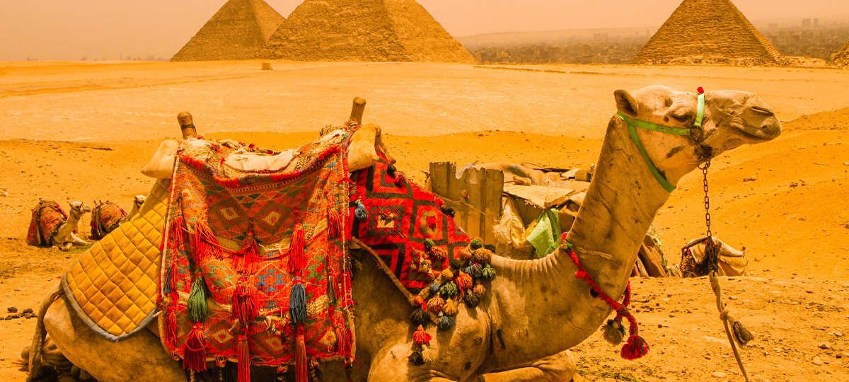 8 Days Cairo & Nile Cruise by Sleeper Train 6 8 Days Cairo & Nile Cruise by Sleeper Train
