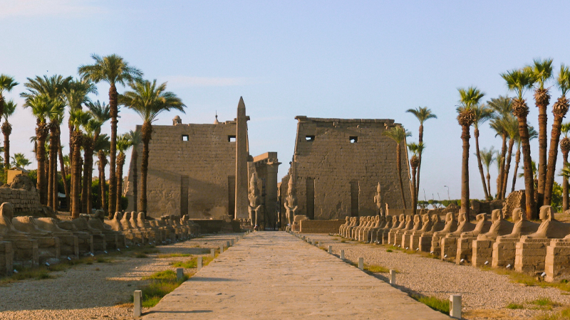 7 Night Nile Cruise